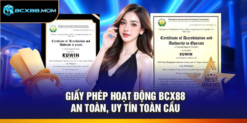 Giấy Phép Hoạt Động Bcx88 – An Toàn, Uy Tín Toàn Cầu